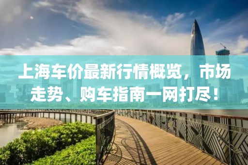 上海车价最新行情概览，市场走势、购车指南一网打尽！