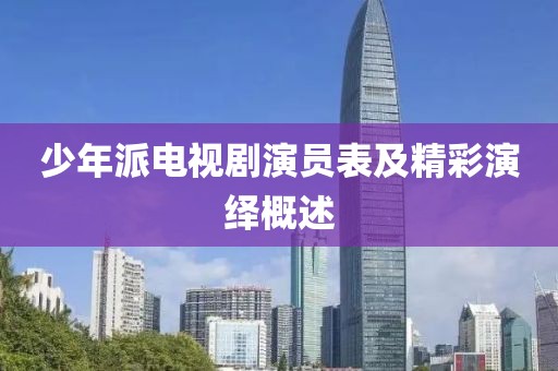 少年派电视剧演员表及精彩演绎概述