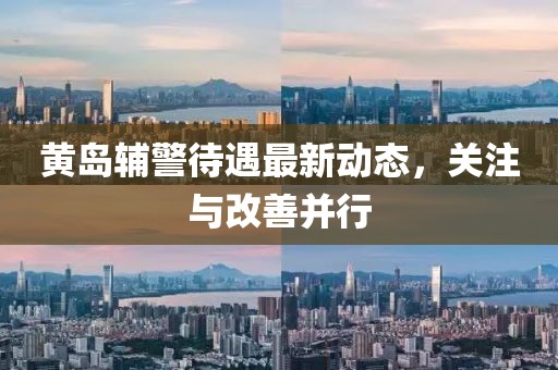 黄岛辅警待遇最新动态，关注与改善并行