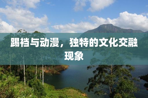 踢裆与动漫，独特的文化交融现象