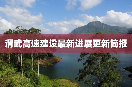 渭武高速建设最新进展更新简报