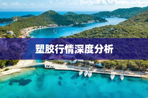 紫辰 第18页