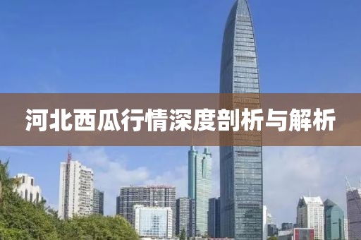 河北西瓜行情深度剖析与解析