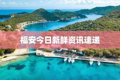 福安今日新鲜资讯速递