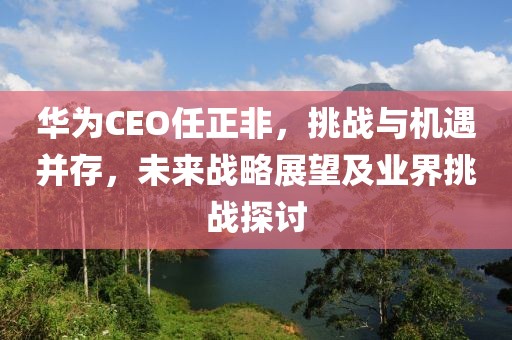 华为CEO任正非，挑战与机遇并存，未来战略展望及业界挑战探讨