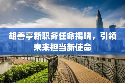 胡善亭新职务任命揭晓，引领未来担当新使命
