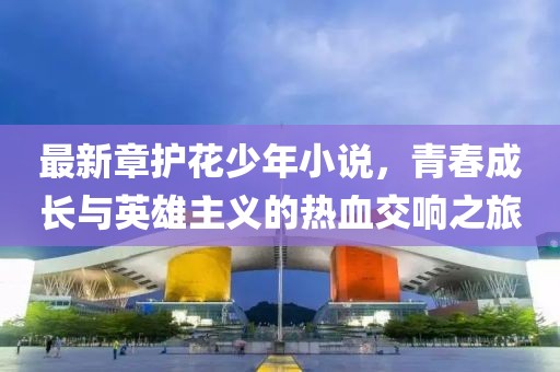 最新章护花少年小说，青春成长与英雄主义的热血交响之旅