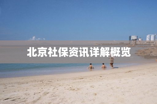 北京社保资讯详解概览