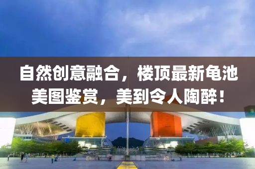 自然创意融合，楼顶最新龟池美图鉴赏，美到令人陶醉！