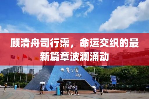 顾清舟司行霈，命运交织的最新篇章波澜涌动