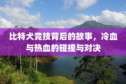 比特犬竞技背后的故事，冷血与热血的碰撞与对决