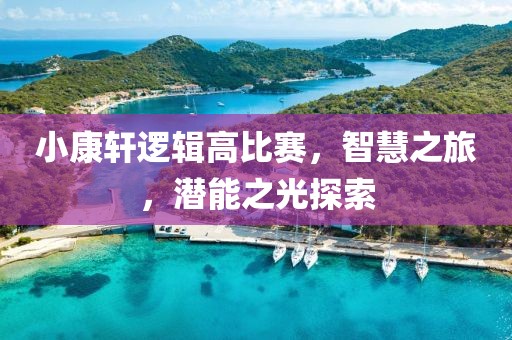 小康轩逻辑高比赛，智慧之旅，潜能之光探索