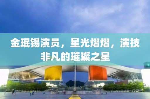 金珉锡演员，星光熠熠，演技非凡的璀璨之星