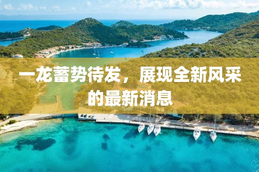 一龙蓄势待发，展现全新风采的最新消息