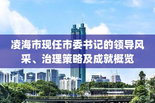 凌海市现任市委书记的领导风采、治理策略及成就概览