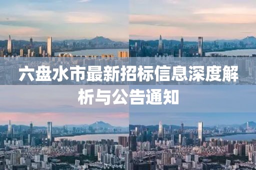 六盘水市最新招标信息深度解析与公告通知