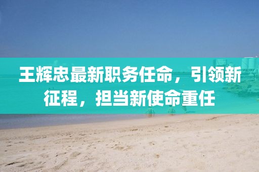 王辉忠最新职务任命，引领新征程，担当新使命重任
