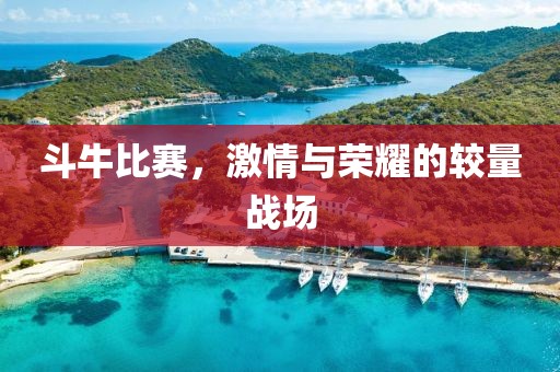斗牛比赛，激情与荣耀的较量战场