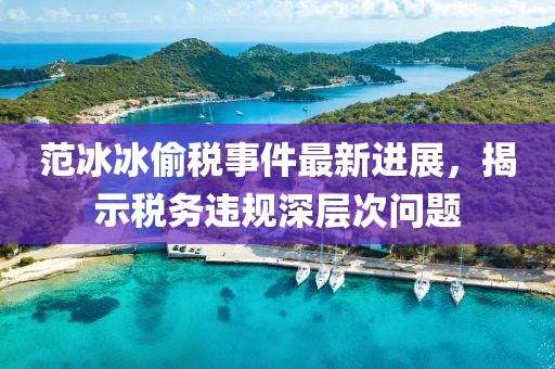 范冰冰偷税事件最新进展，揭示税务违规深层次问题