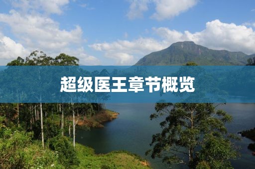 超级医王章节概览