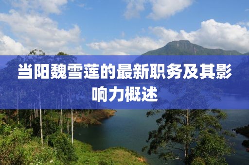 当阳魏雪莲的最新职务及其影响力概述