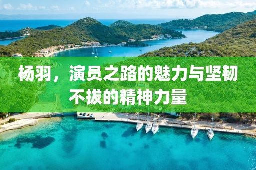 杨羽，演员之路的魅力与坚韧不拔的精神力量