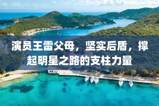 演员王雷父母，坚实后盾，撑起明星之路的支柱力量