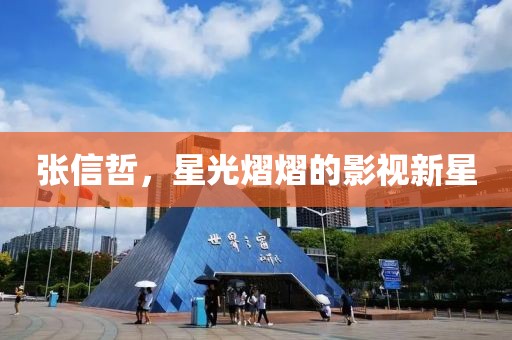 张信哲，星光熠熠的影视新星