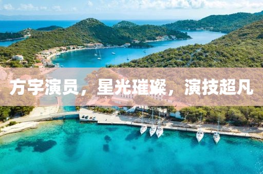 方宇演员，星光璀璨，演技超凡