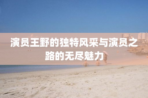 演员王野的独特风采与演员之路的无尽魅力