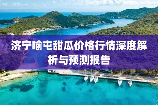 济宁喻屯甜瓜价格行情深度解析与预测报告