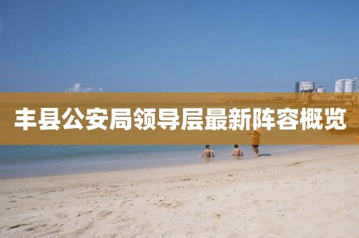 丰县公安局领导层最新阵容概览