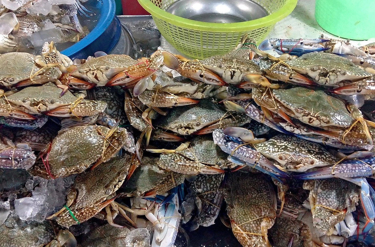 馒头上市场，传统美食的新机遇