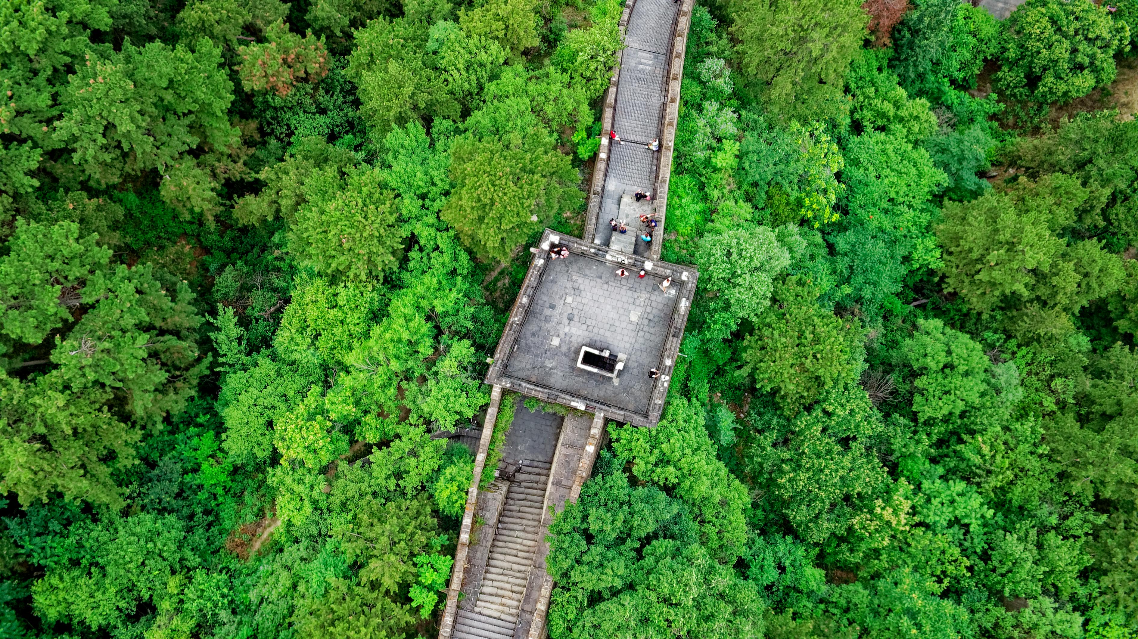 管湾湿地公园最新动态，生态建设的蓬勃发展