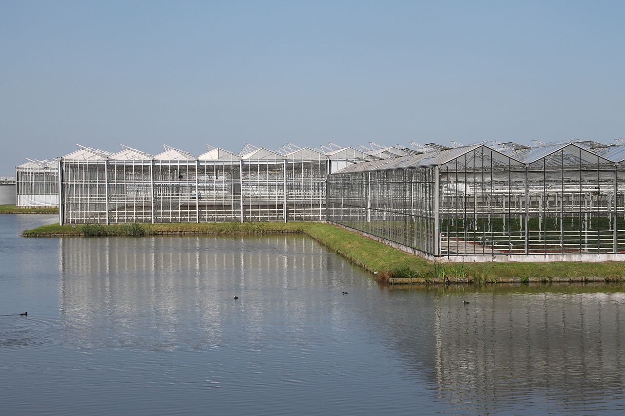 最新农药政策，重塑农业生态平衡的关键措施解析