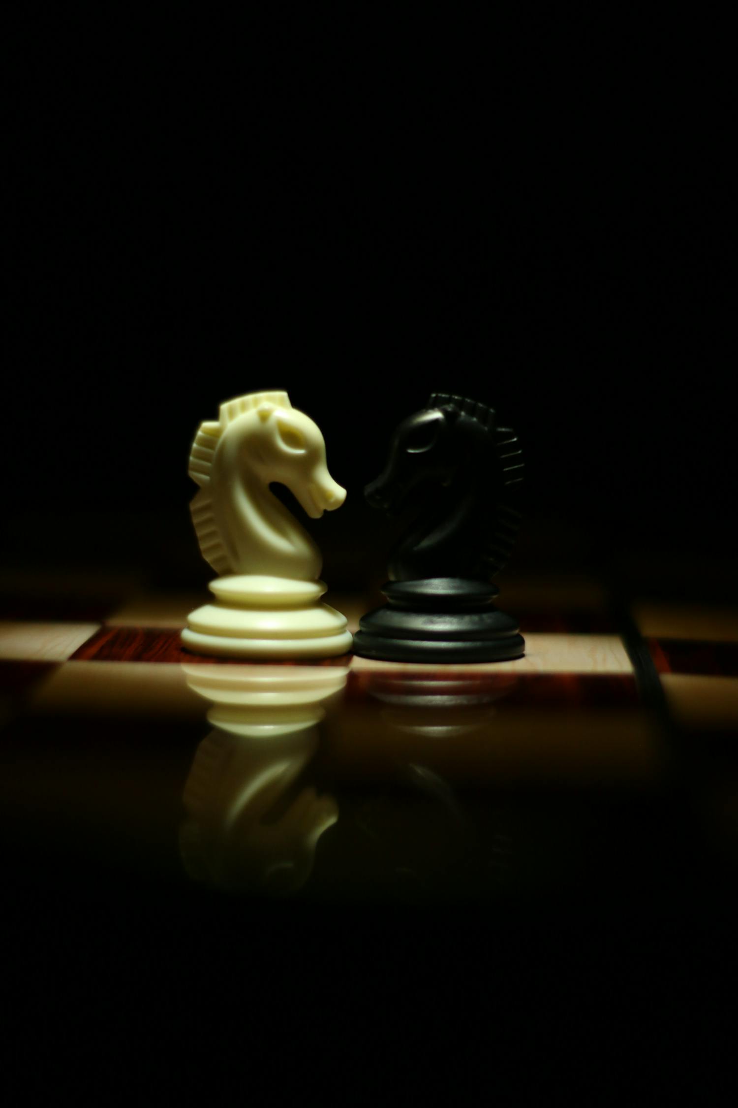 德州象棋比赛，技艺与智慧的巅峰对决