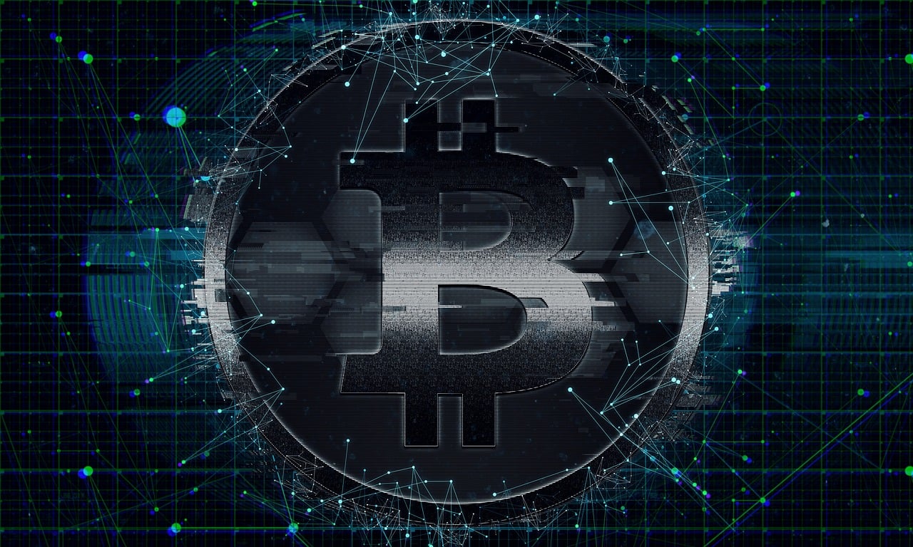 屎币行情深度解析，全面洞悉市场走势