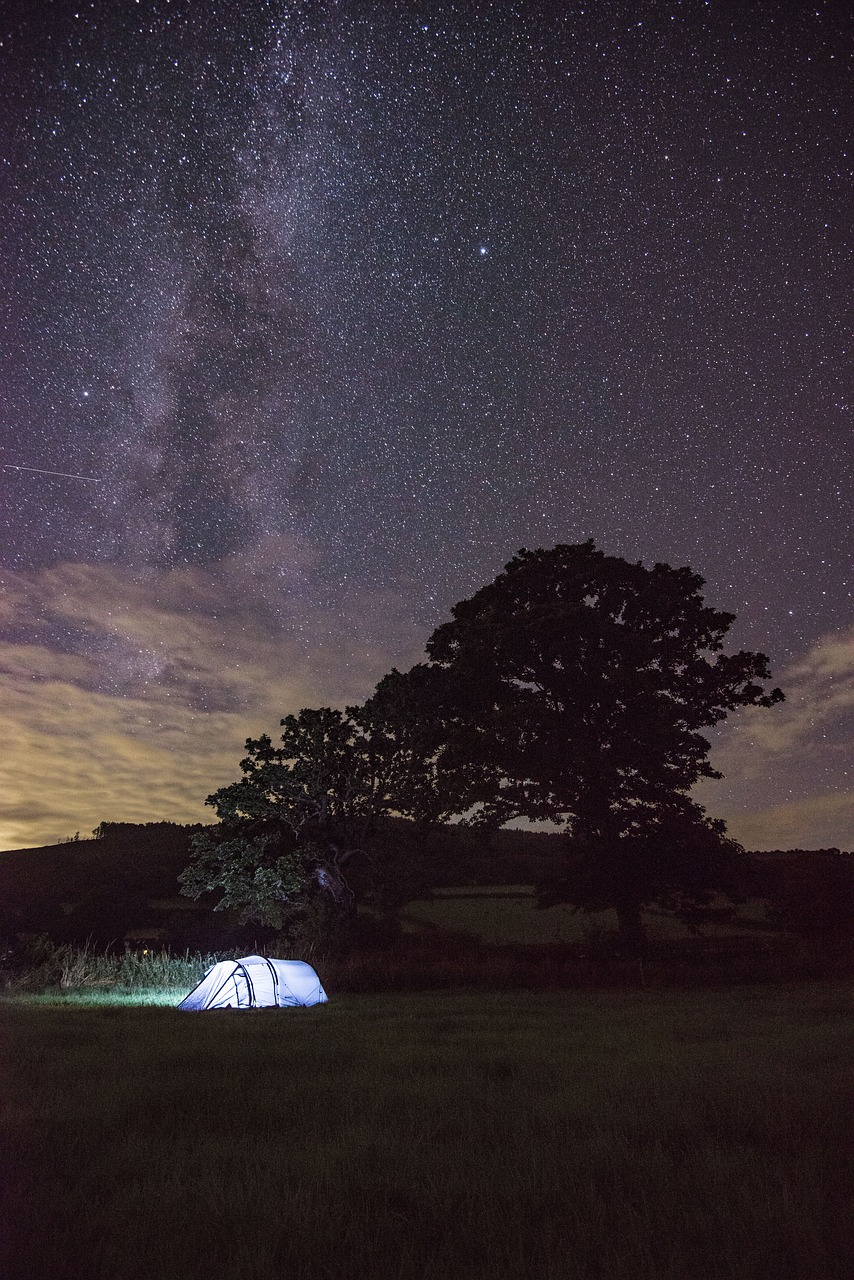 最新星座分类揭晓，探索星空新奥秘的奥秘揭秘