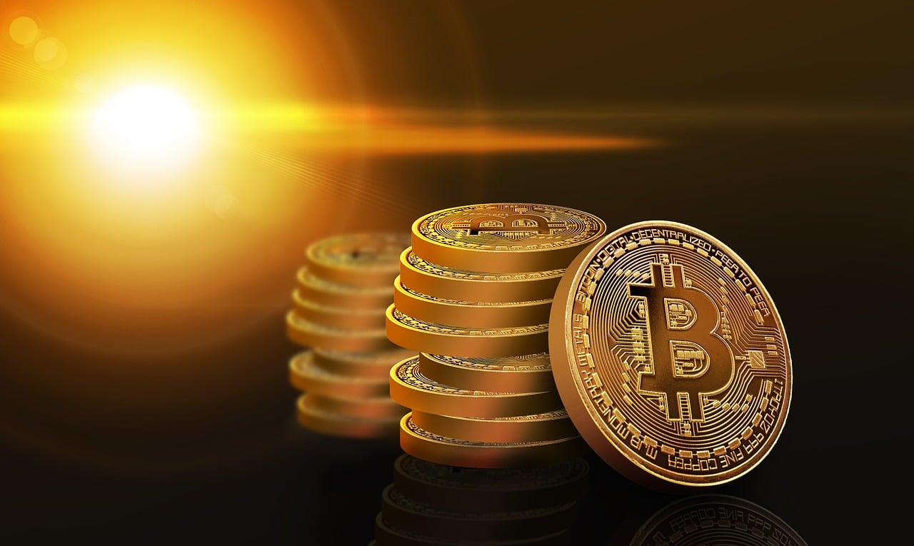 股票首次公开发行的全面解析与探讨