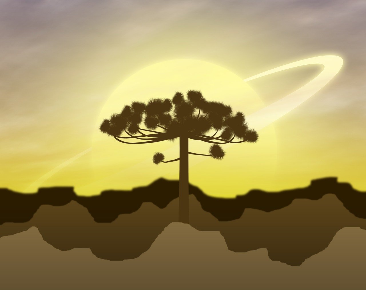 动漫星空图片的魅力与影响力探究
