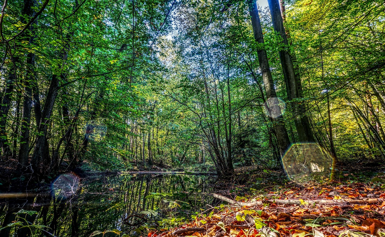 铁山港东岸最新动态，区域发展新篇章揭晓