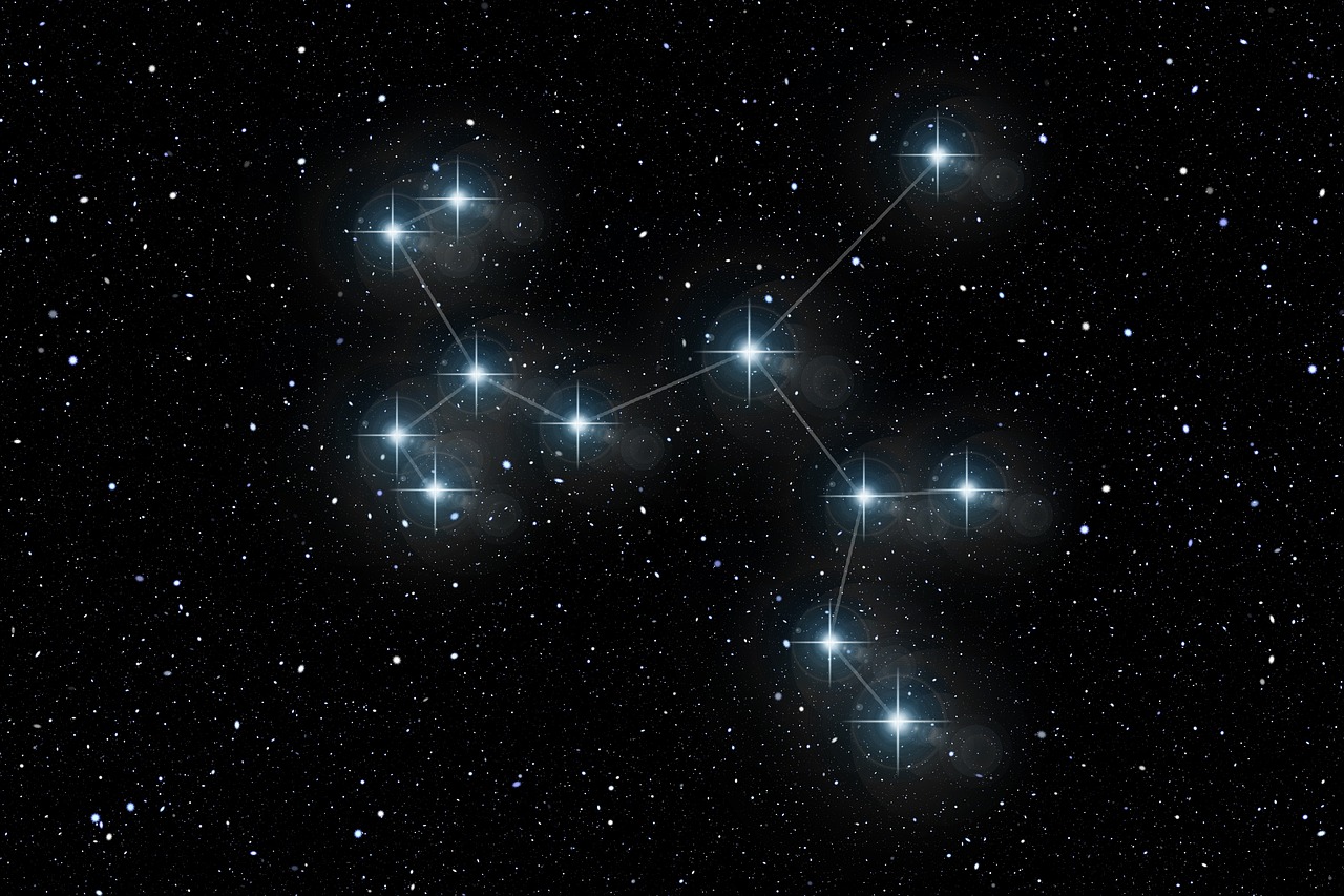 朱军闪耀明星同乐会之夜，魅力与光芒并存