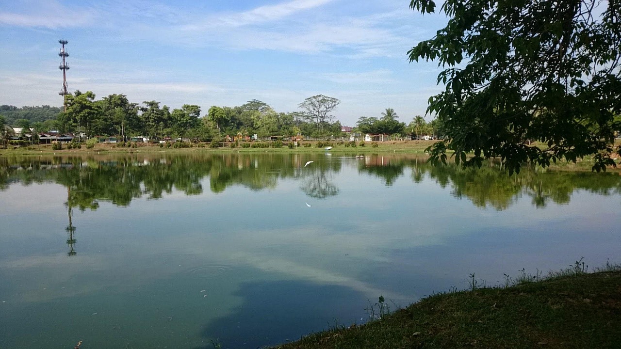 宝鸡市最新动态解读，全面梳理最新消息