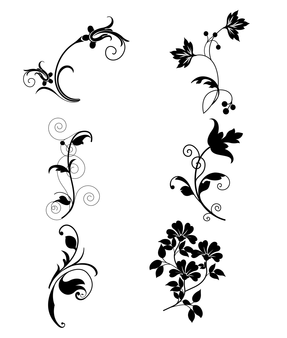 明星签名设计，名字的艺术与魅力之旅
