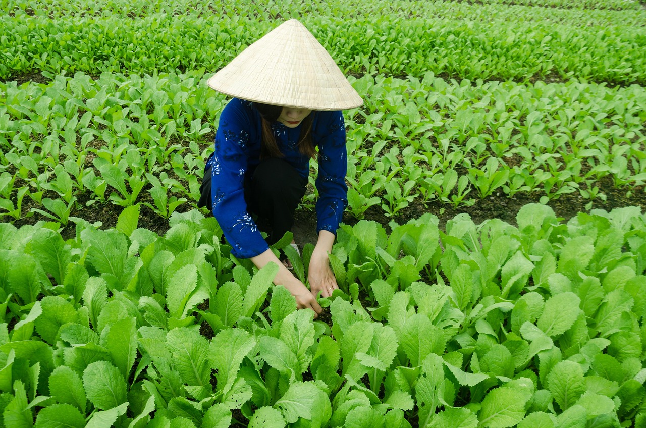都昌县最新发展动态概览