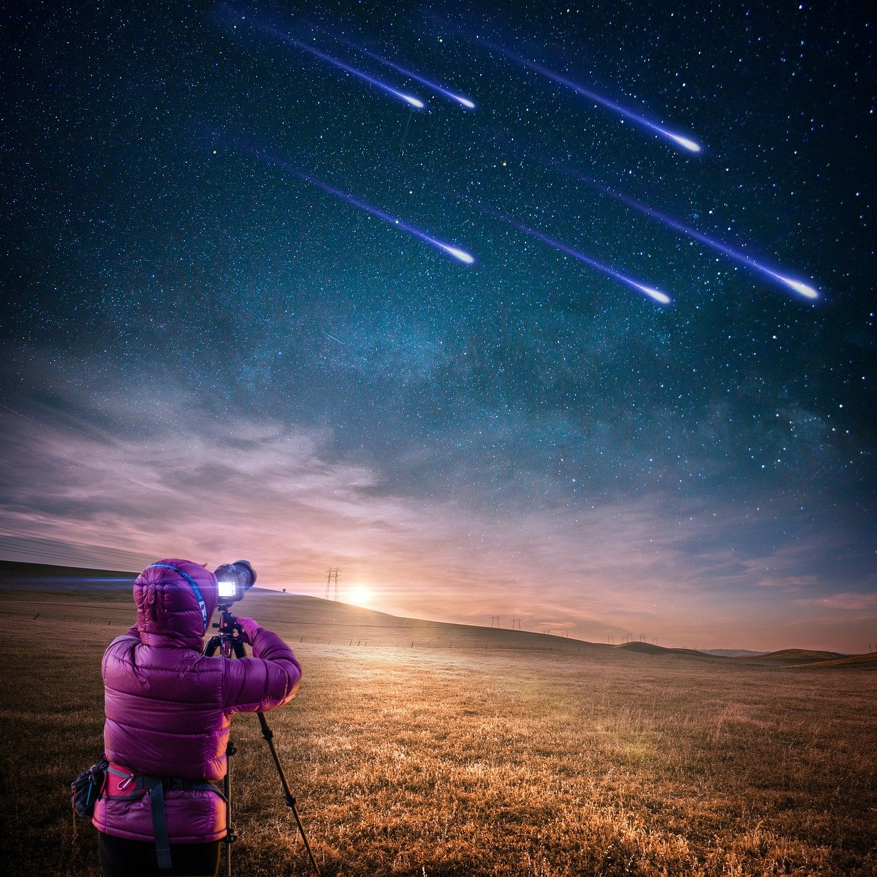 男胖明星，星光下的挑战与逆袭之路
