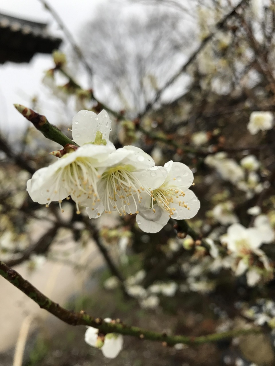 湘潭县撤县设区最新动态，未来规划与展望