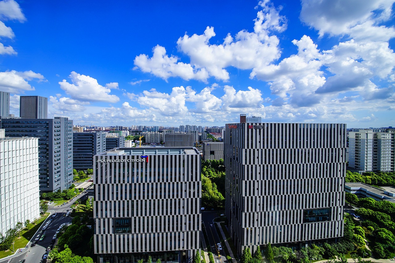最新上海区域地图揭秘，繁华都市的脉络与蓬勃发展之势