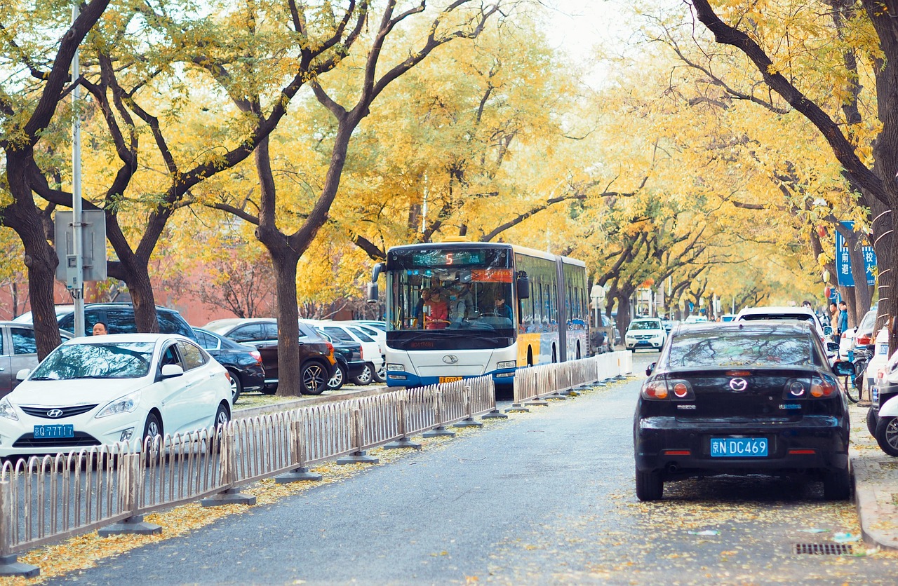 新规划下的220国道拓宽版发布，道路规划与改造进展揭秘
