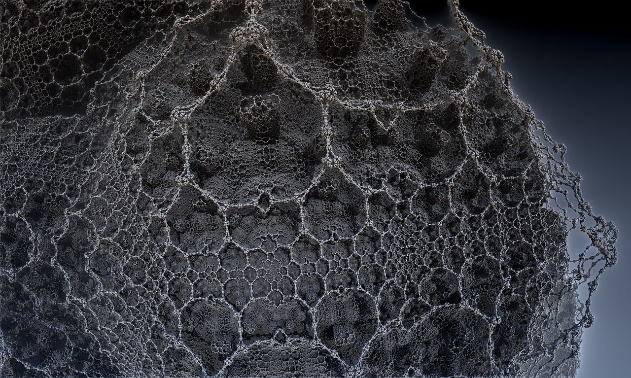 鄠邑区蓬勃发展新篇章，最新动态概览